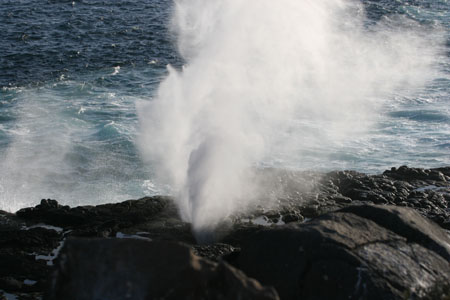 IMG_4037