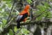Tuinposter_3049